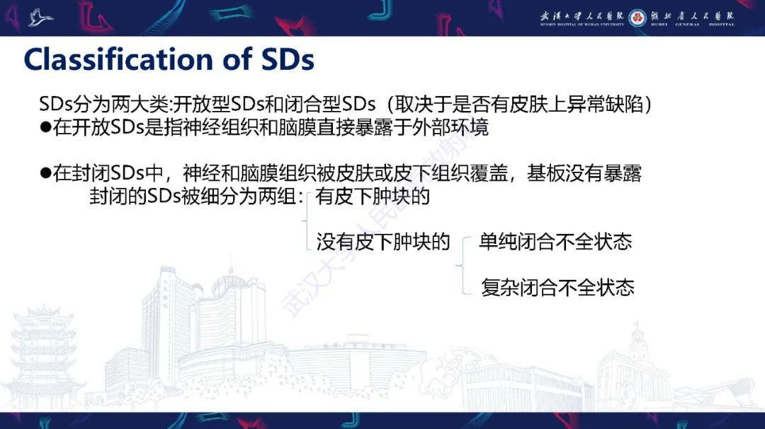 影像PPT - 【PPT】脊柱闭合不全影像诊断-10