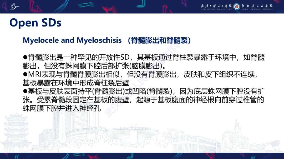 影像PPT - 【PPT】脊柱闭合不全影像诊断-14