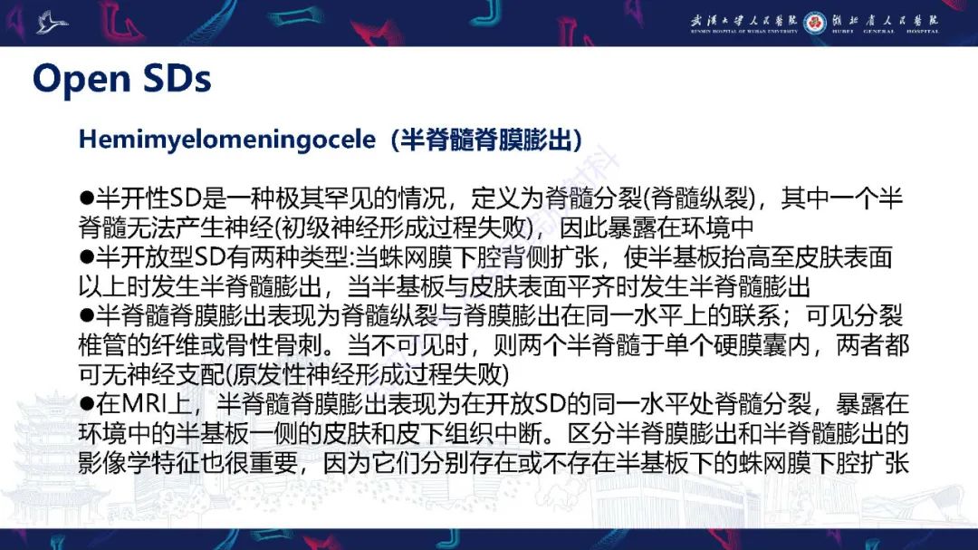 影像PPT - 【PPT】脊柱闭合不全影像诊断-16
