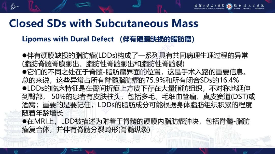影像PPT - 【PPT】脊柱闭合不全影像诊断-18