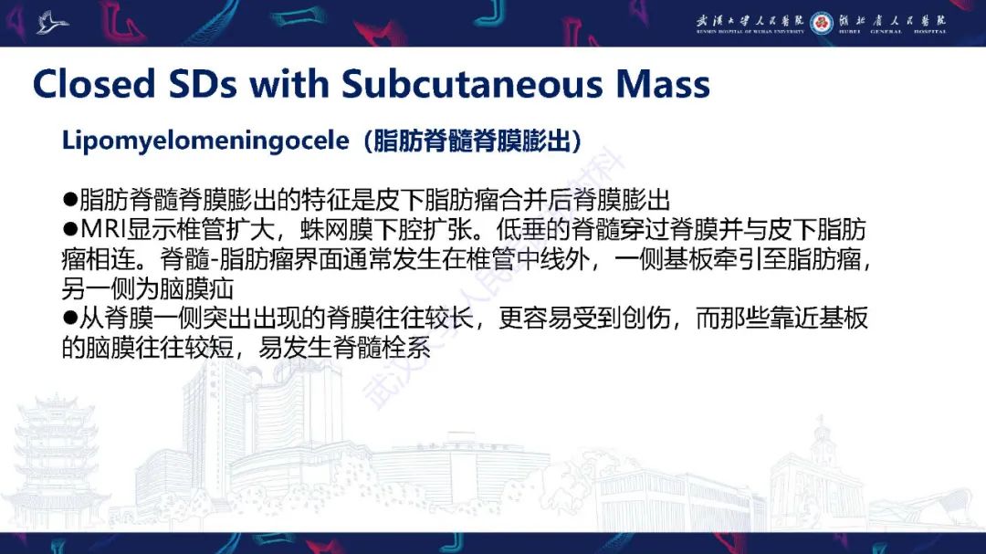 影像PPT - 【PPT】脊柱闭合不全影像诊断-19