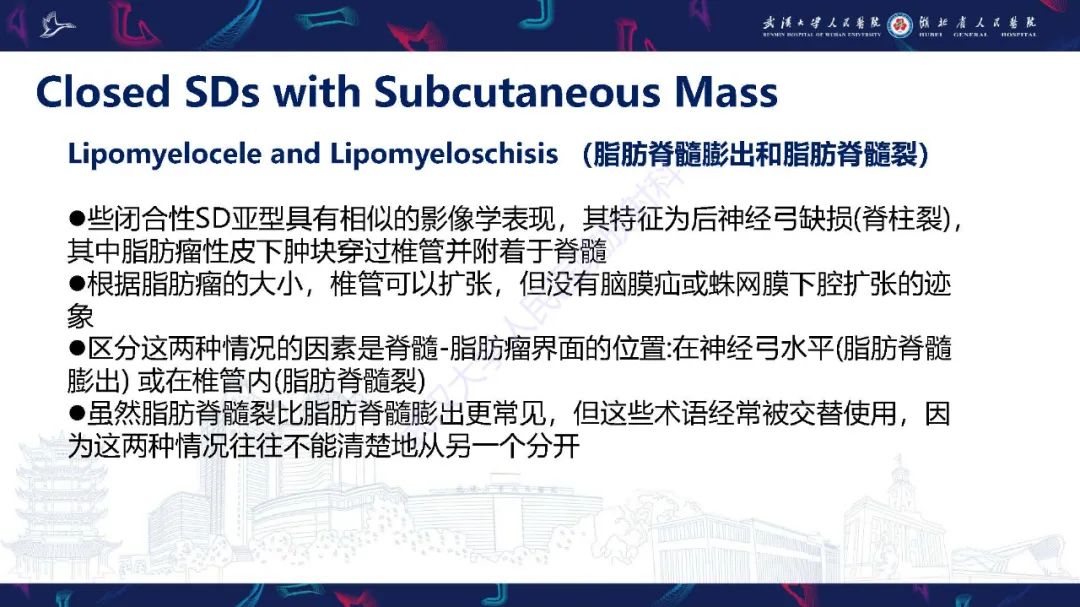 影像PPT - 【PPT】脊柱闭合不全影像诊断-21