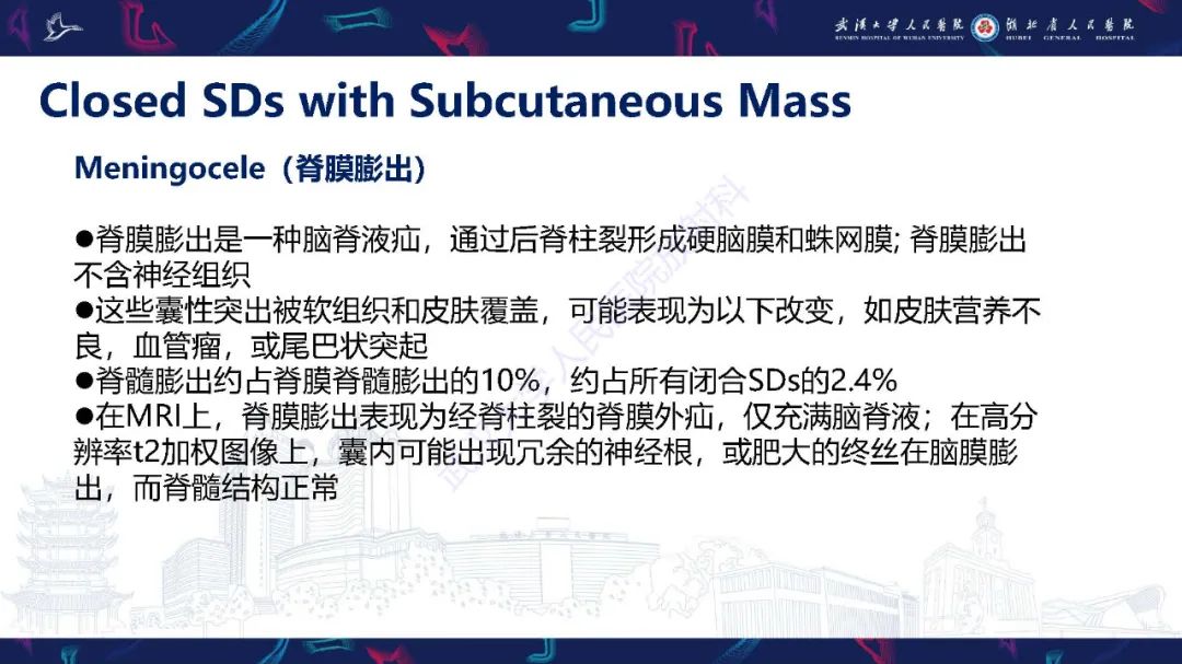 影像PPT - 【PPT】脊柱闭合不全影像诊断-23