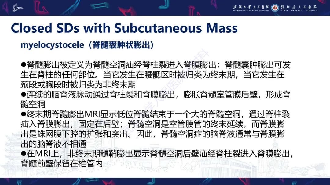 影像PPT - 【PPT】脊柱闭合不全影像诊断-25