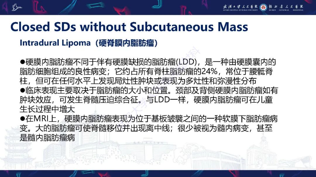 影像PPT - 【PPT】脊柱闭合不全影像诊断-27