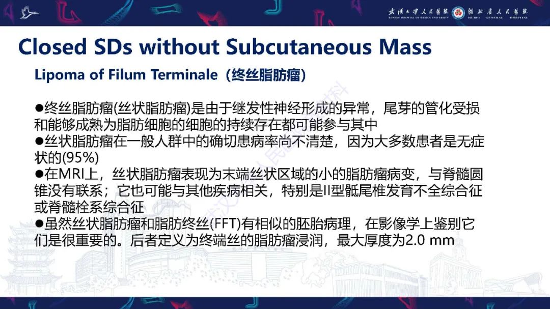 影像PPT - 【PPT】脊柱闭合不全影像诊断-28