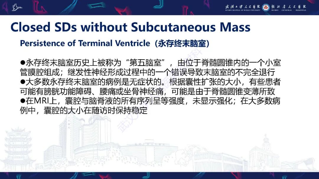 影像PPT - 【PPT】脊柱闭合不全影像诊断-29