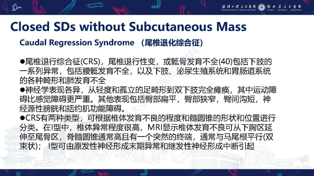 影像PPT - 【PPT】脊柱闭合不全影像诊断-33