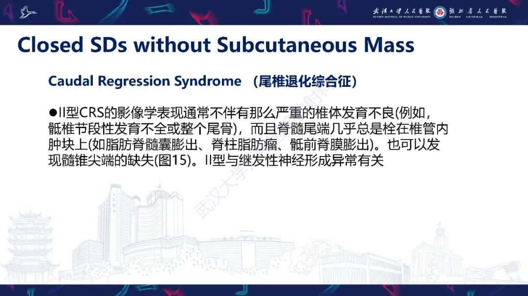 影像PPT - 【PPT】脊柱闭合不全影像诊断-35