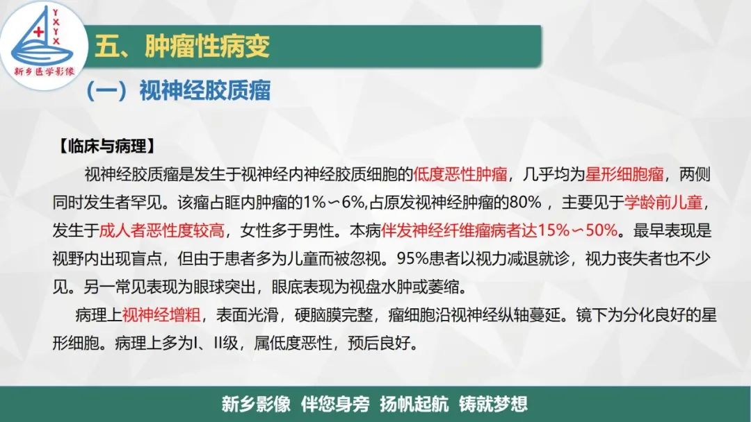 影像PPT - 【PPT】医学影像诊断学教材解读—眼部疾病-3