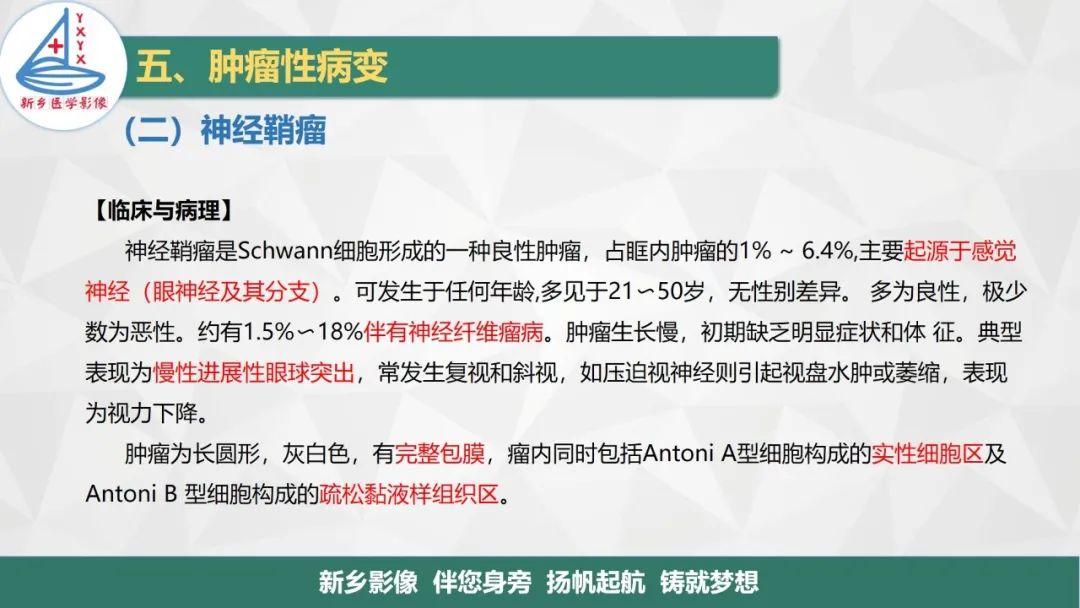 影像PPT - 【PPT】医学影像诊断学教材解读—眼部疾病-7