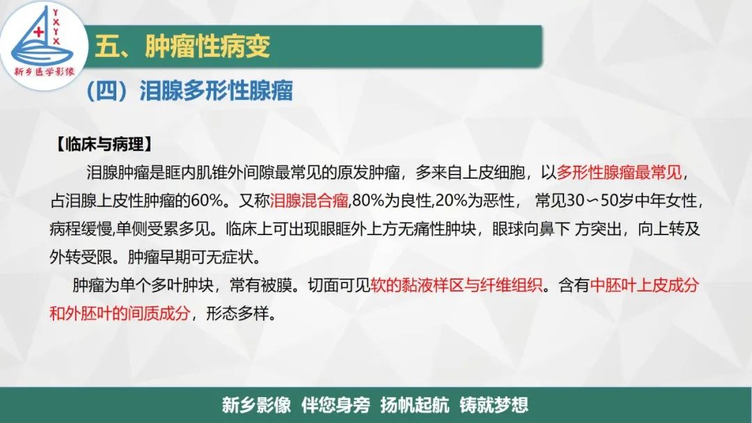 影像PPT - 【PPT】医学影像诊断学教材解读—眼部疾病-12