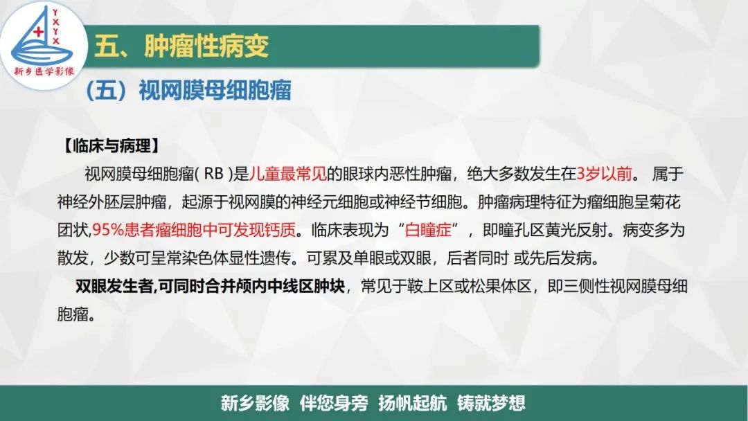 影像PPT - 【PPT】医学影像诊断学教材解读—眼部疾病-14