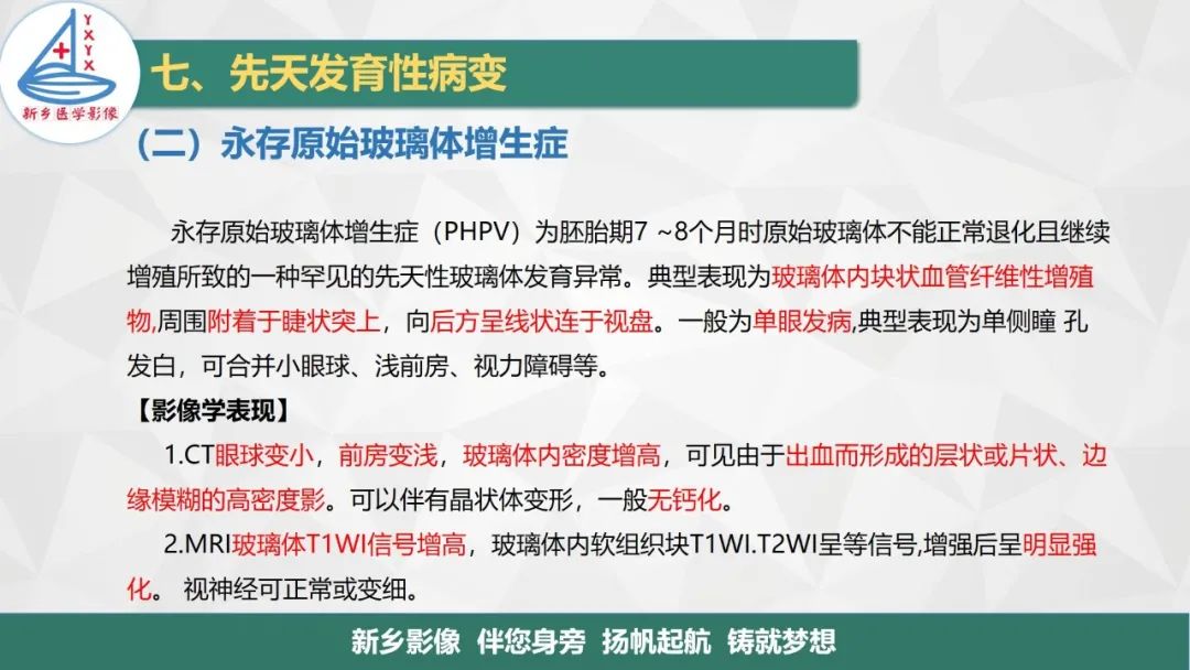 影像PPT - 【PPT】医学影像诊断学教材解读—眼部疾病-26