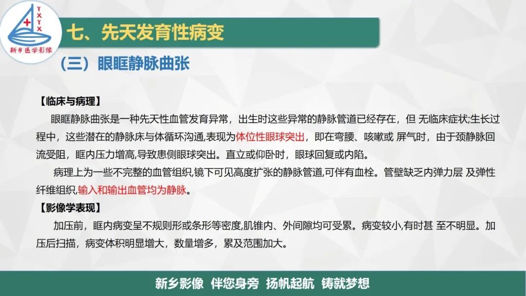 影像PPT - 【PPT】医学影像诊断学教材解读—眼部疾病-29