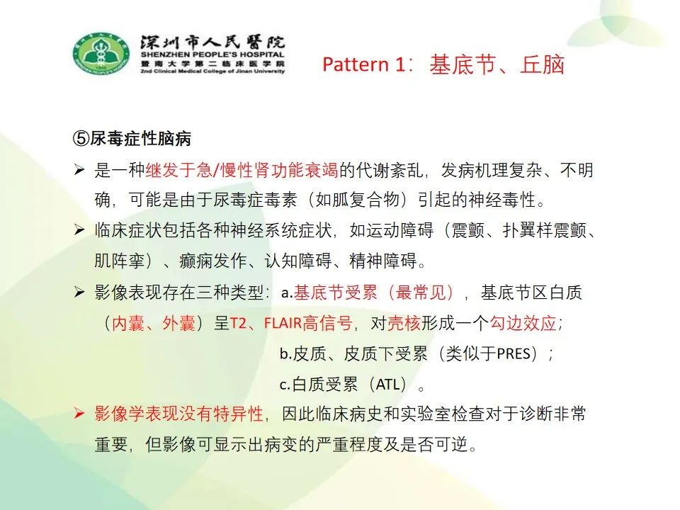 影像PPT - 【PPT】中毒性和代谢性脑病的显像模式-15