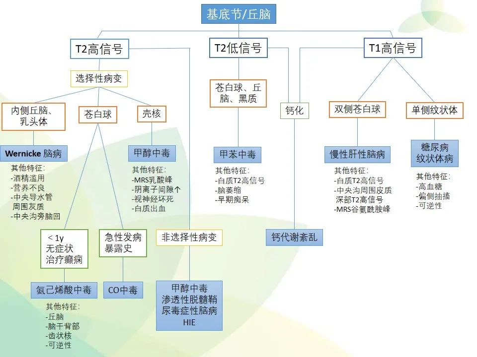 影像PPT - 【PPT】中毒性和代谢性脑病的显像模式-25