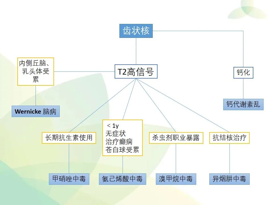 影像PPT - 【PPT】中毒性和代谢性脑病的显像模式-30