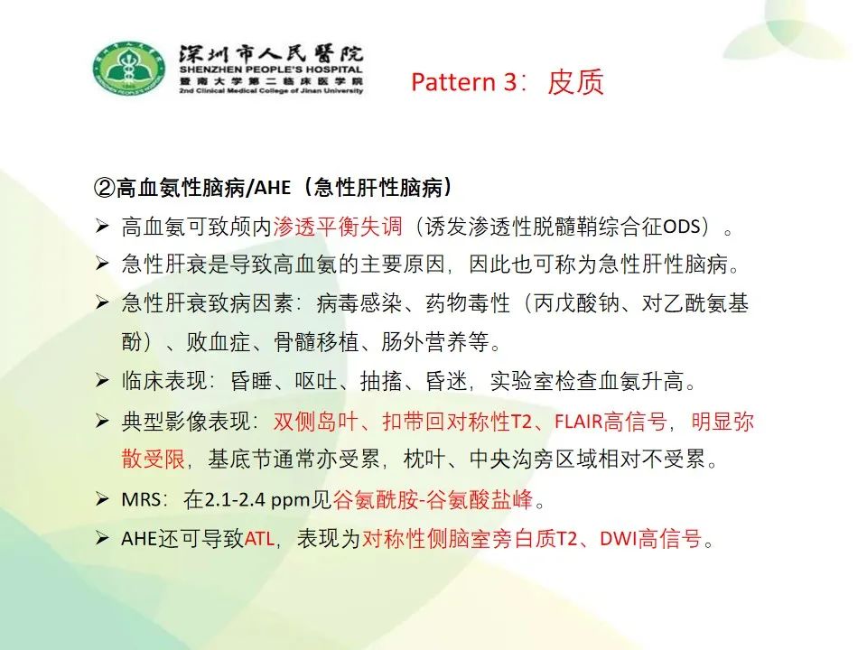 影像PPT - 【PPT】中毒性和代谢性脑病的显像模式-33