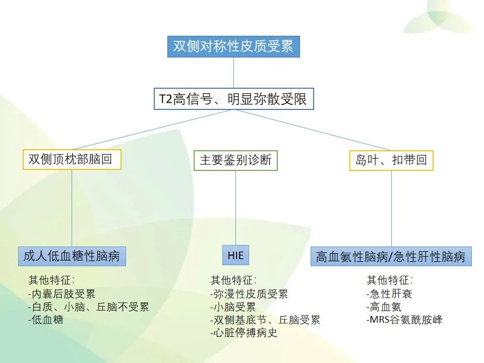 影像PPT - 【PPT】中毒性和代谢性脑病的显像模式-35