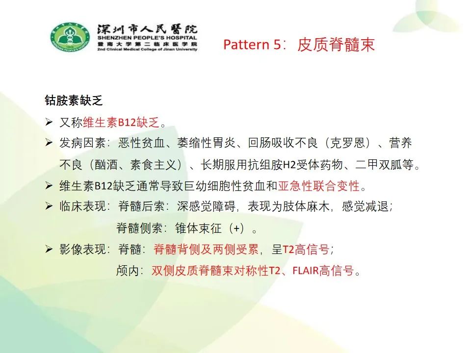 影像PPT - 【PPT】中毒性和代谢性脑病的显像模式-40