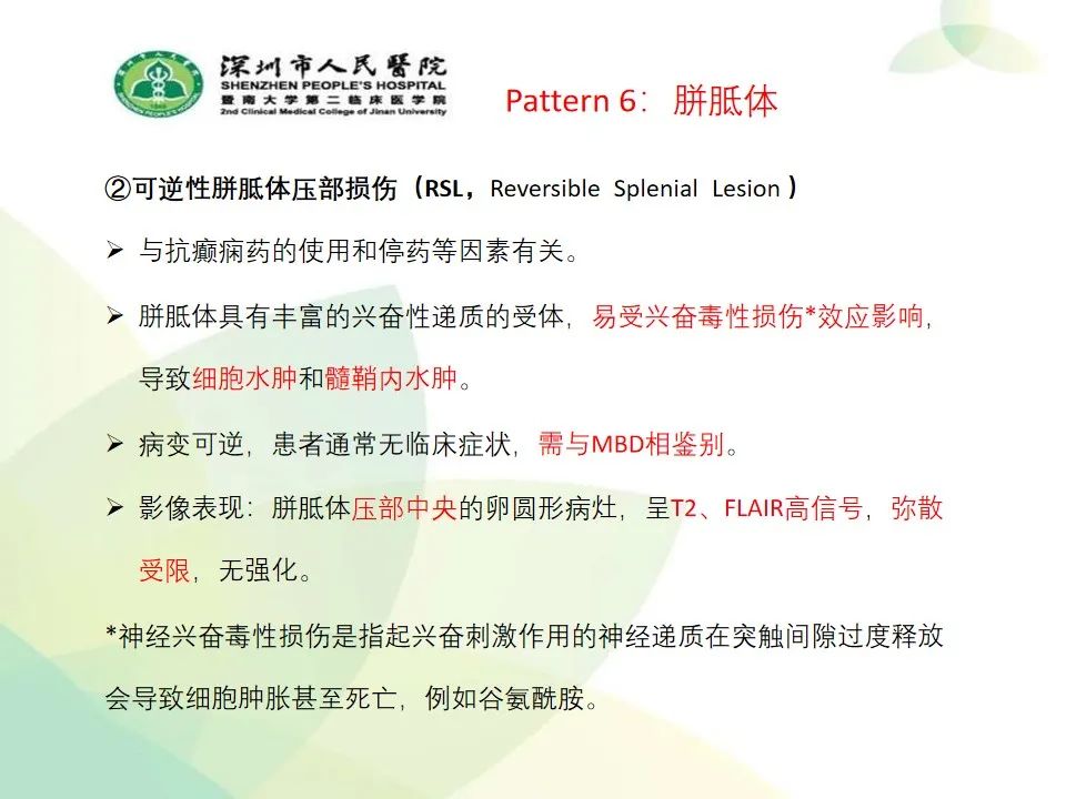 影像PPT - 【PPT】中毒性和代谢性脑病的显像模式-44