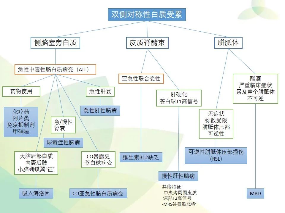 影像PPT - 【PPT】中毒性和代谢性脑病的显像模式-46
