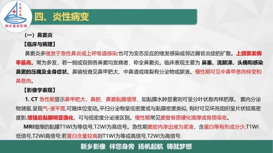 影像PPT - 【PPT】医学影像诊断学教材解读—鼻部疾病-18