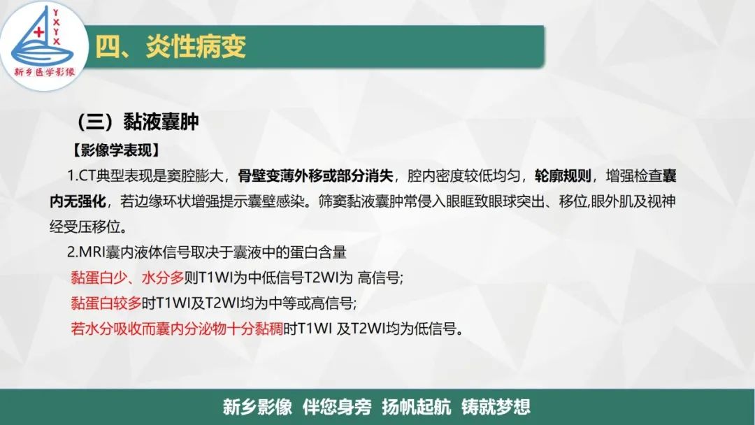 影像PPT - 【PPT】医学影像诊断学教材解读—鼻部疾病-24