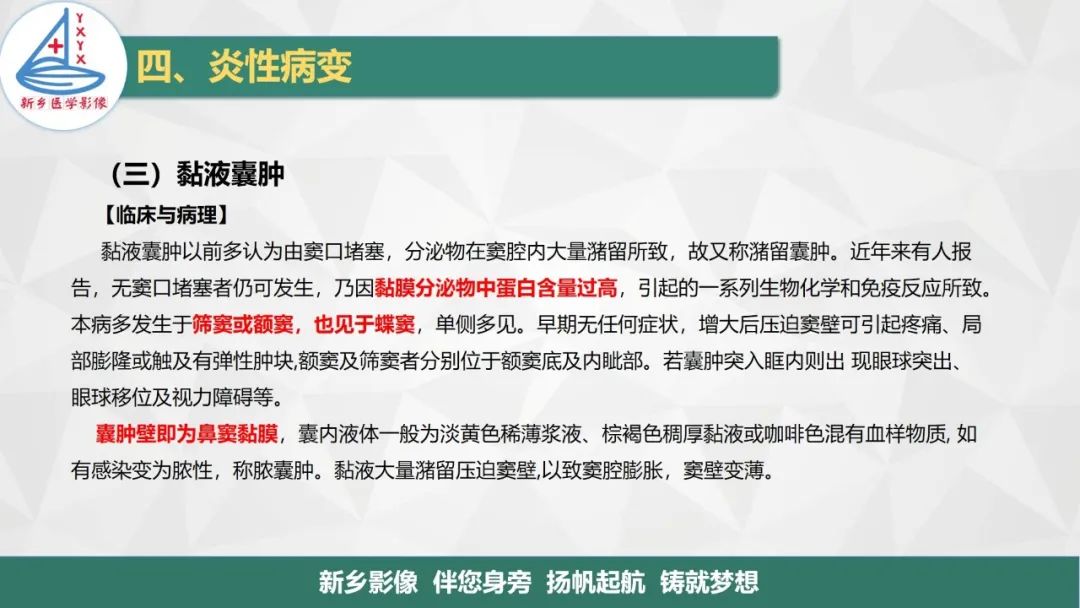 影像PPT - 【PPT】医学影像诊断学教材解读—鼻部疾病-23