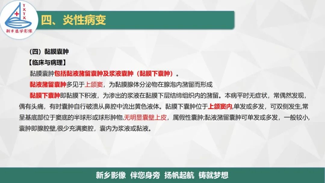 影像PPT - 【PPT】医学影像诊断学教材解读—鼻部疾病-26