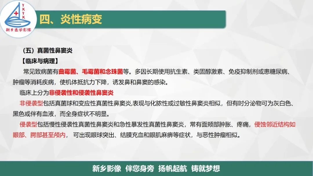 影像PPT - 【PPT】医学影像诊断学教材解读—鼻部疾病-28