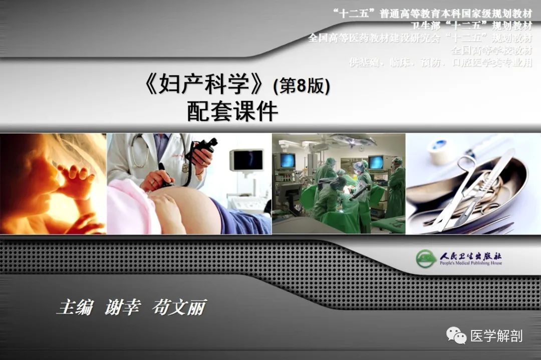 影像PPT - 【PPT】女性生殖系统解剖-1
