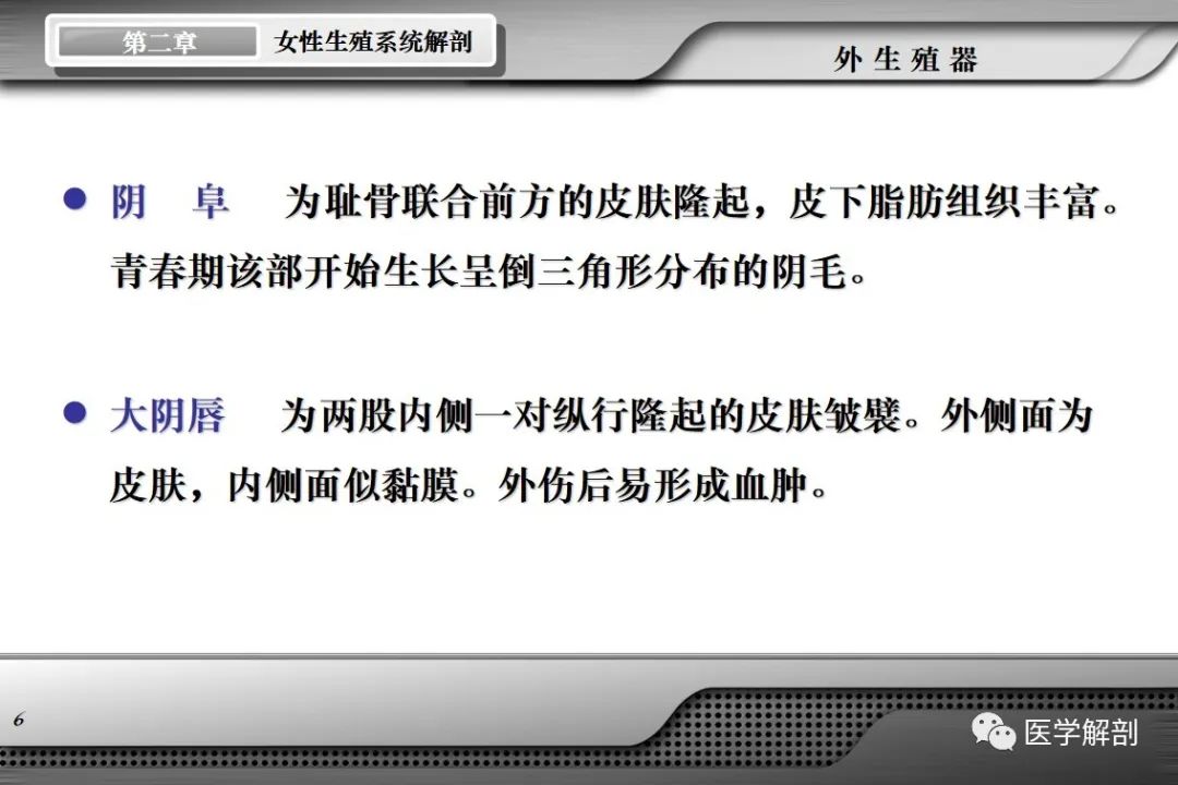 影像PPT - 【PPT】女性生殖系统解剖-5