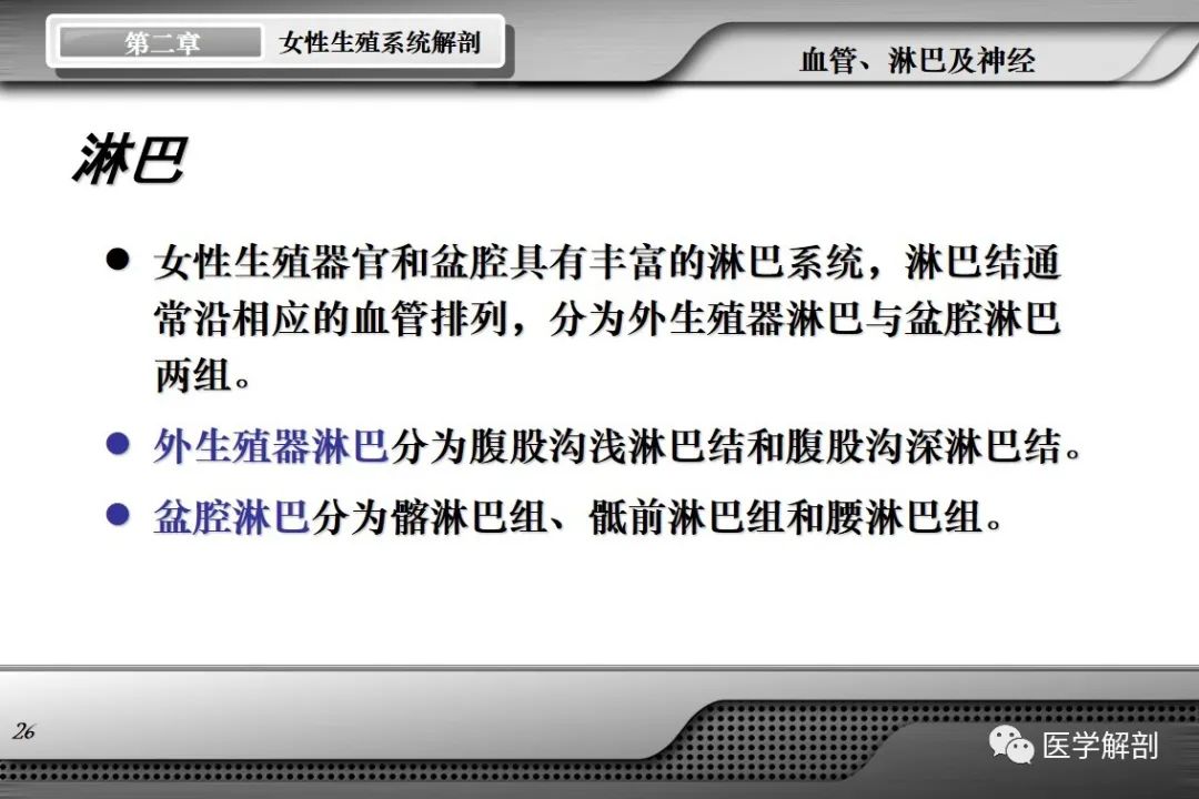 影像PPT - 【PPT】女性生殖系统解剖-25
