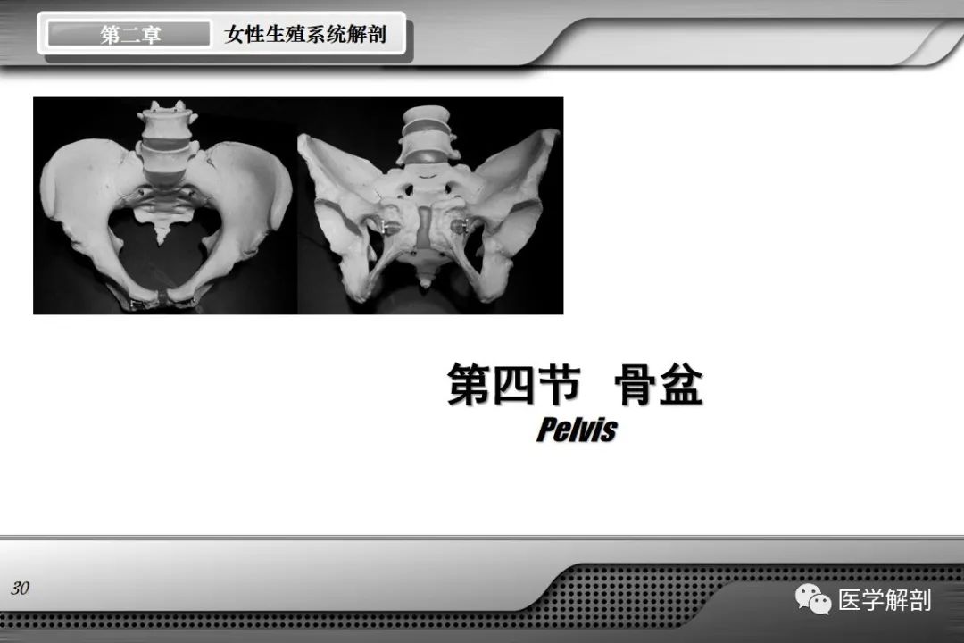 影像PPT - 【PPT】女性生殖系统解剖-29