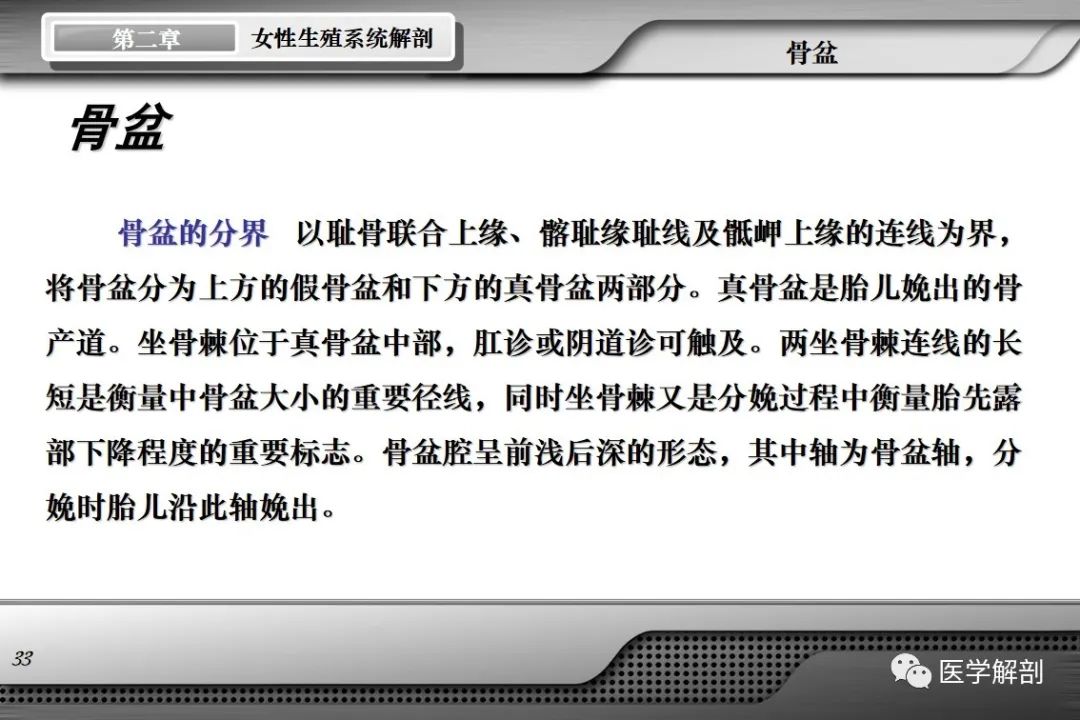 影像PPT - 【PPT】女性生殖系统解剖-32