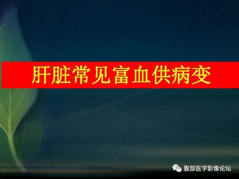 影像PPT - 【PPT】肝脏常见富血供病变读片-18