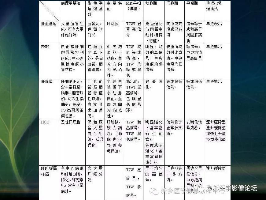 影像PPT - 【PPT】肝脏常见富血供病变读片-79