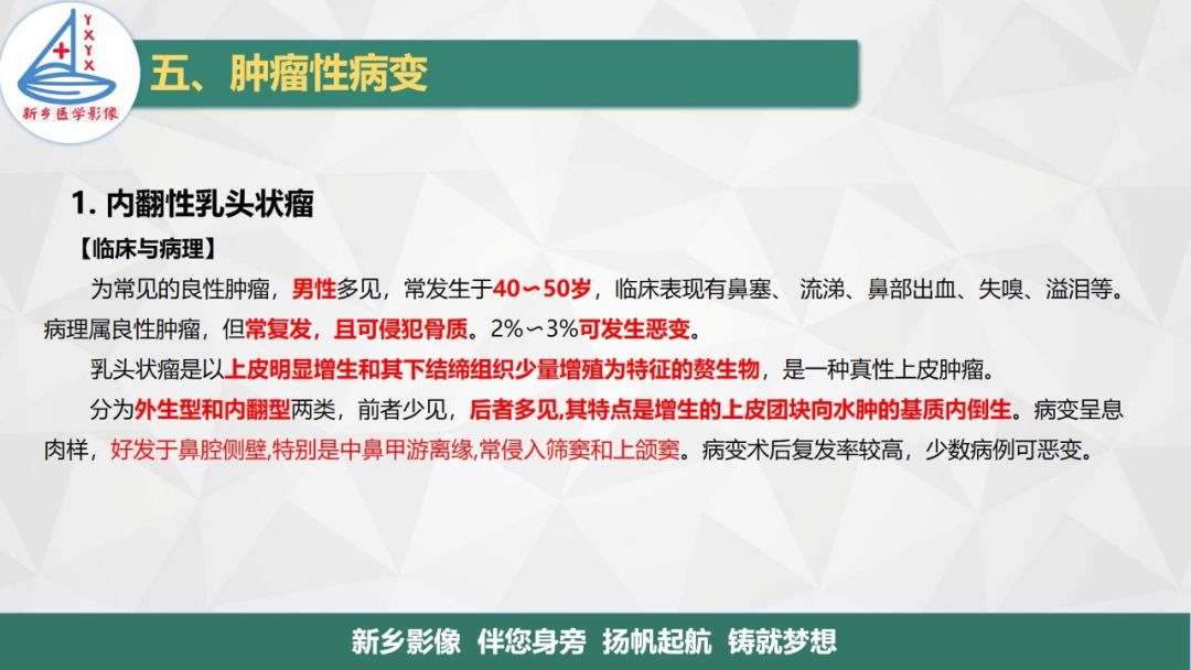 影像PPT - 【PPT】医学影像诊断学教材解读—鼻部疾病2-3