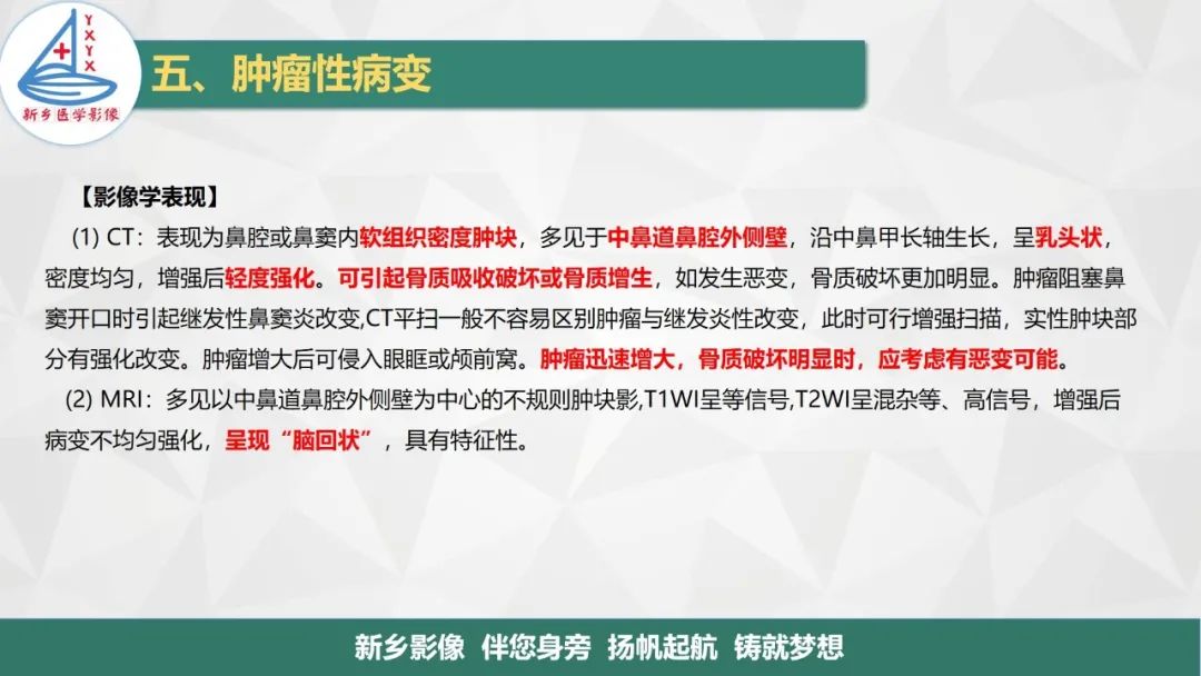 影像PPT - 【PPT】医学影像诊断学教材解读—鼻部疾病2-4
