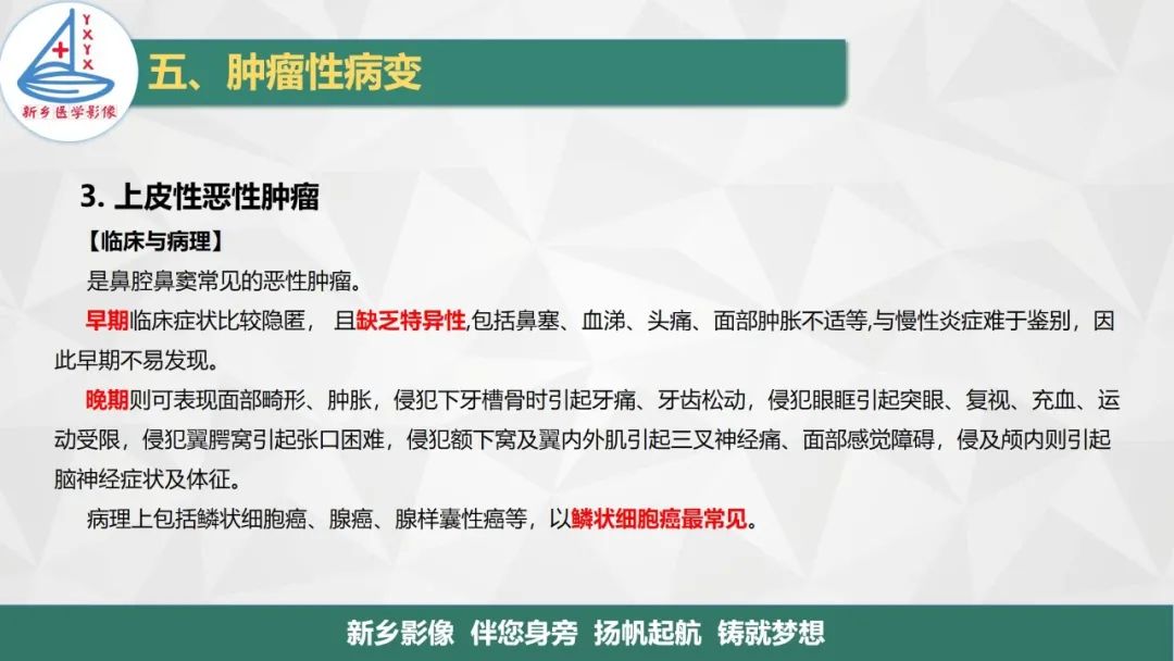 影像PPT - 【PPT】医学影像诊断学教材解读—鼻部疾病2-7