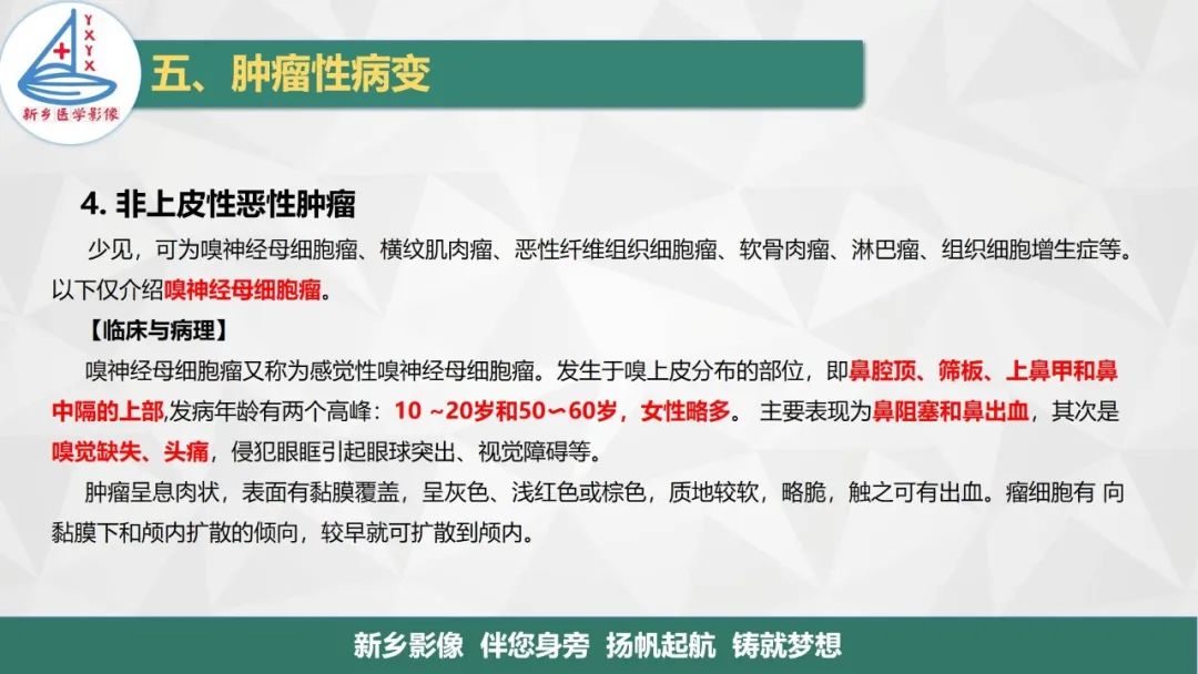 影像PPT - 【PPT】医学影像诊断学教材解读—鼻部疾病2-10