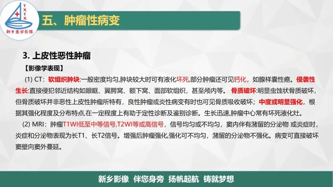 影像PPT - 【PPT】医学影像诊断学教材解读—鼻部疾病2-8