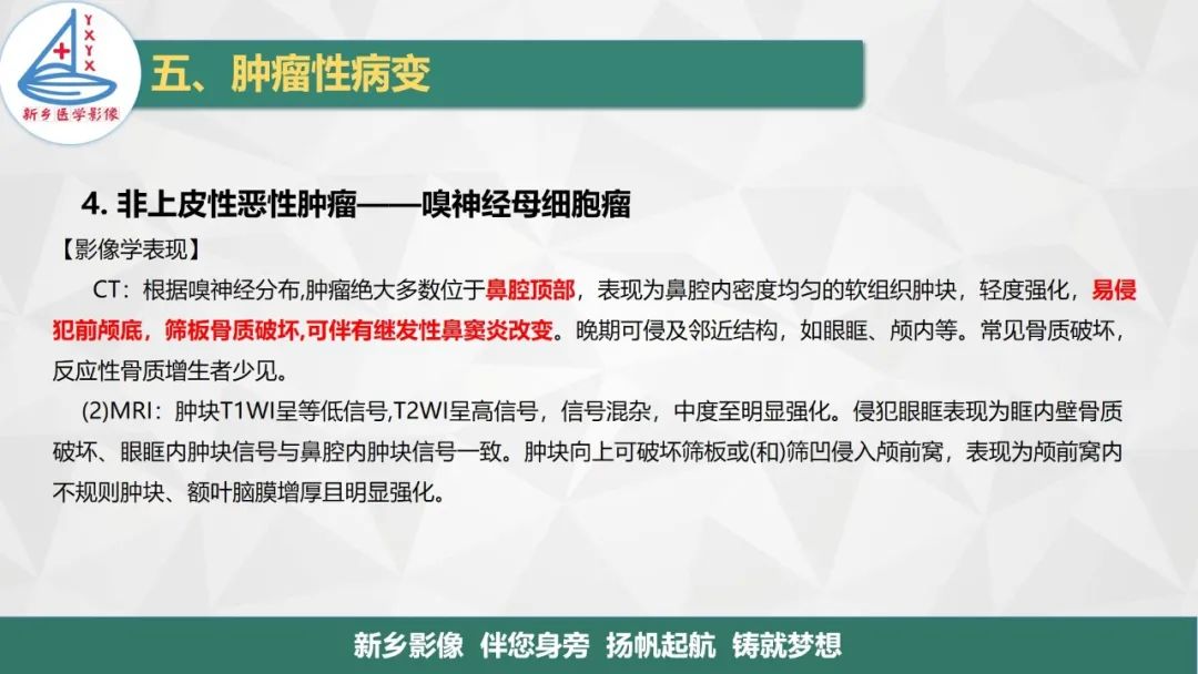 影像PPT - 【PPT】医学影像诊断学教材解读—鼻部疾病2-11