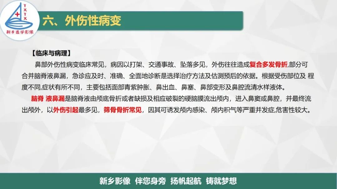 影像PPT - 【PPT】医学影像诊断学教材解读—鼻部疾病2-13