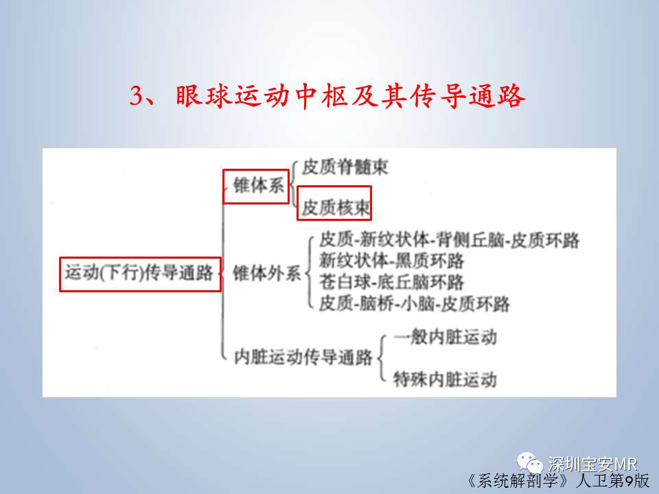 影像PPT - 【PPT】眼球运动障碍影像诊断-18