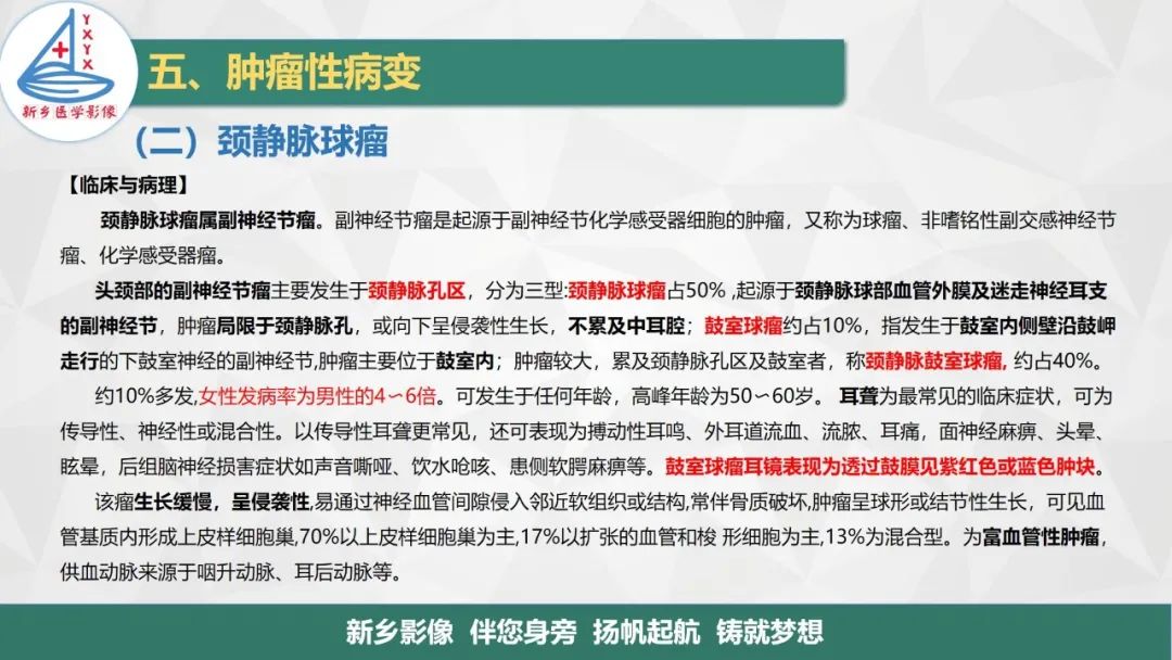 影像PPT - 【PPT】医学影像诊断学教材解读—耳部疾病2-4