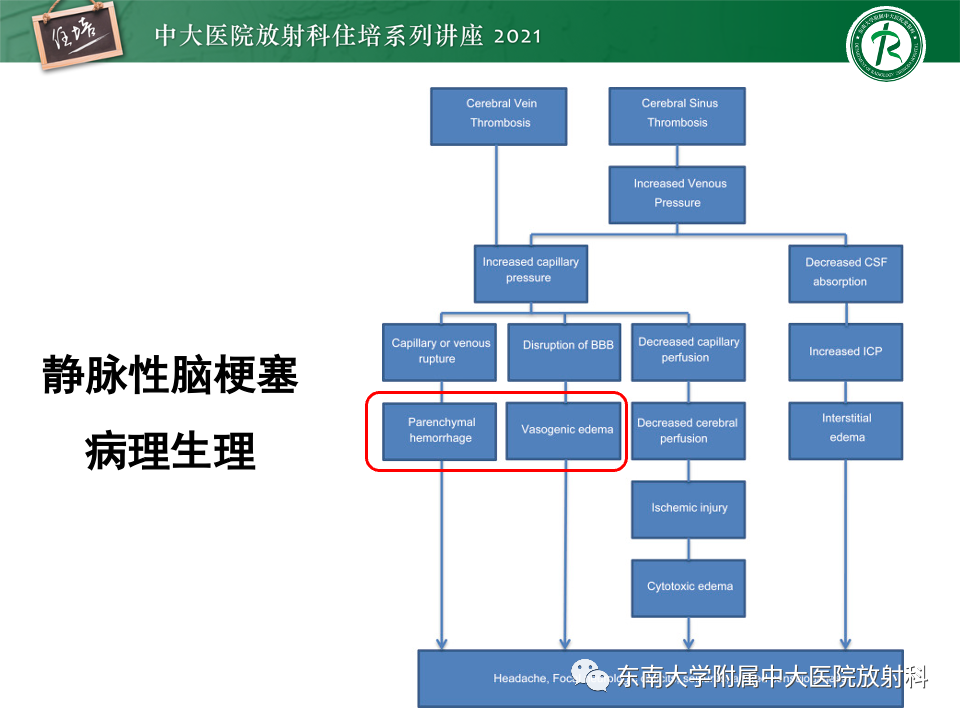 影像PPT - 【PPT】静脉性脑梗死的诊断思路-31