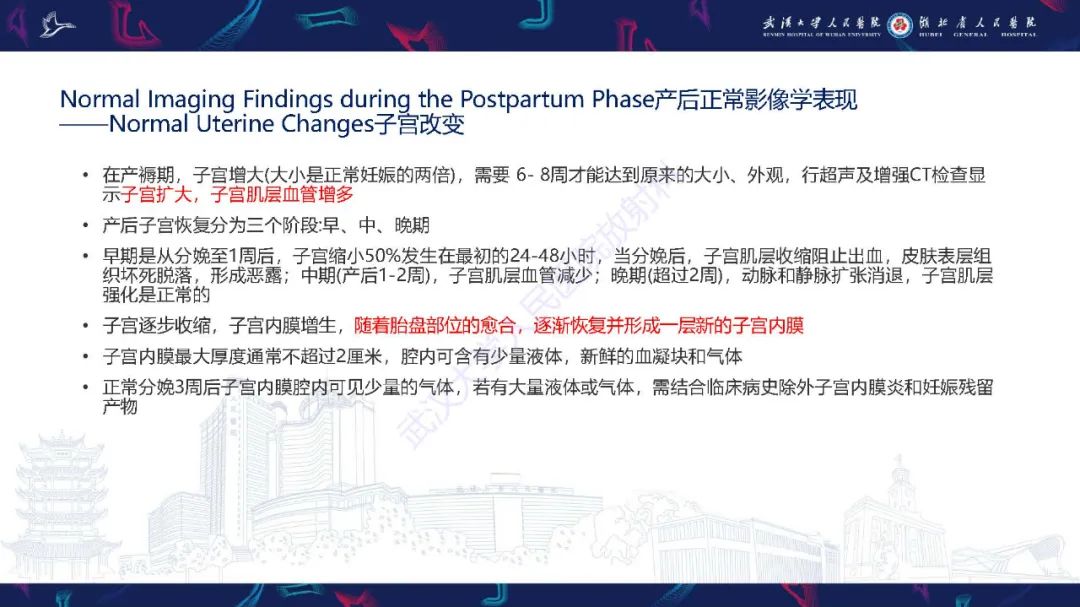 影像PPT - 【PPT】产后并发症影像诊断-4